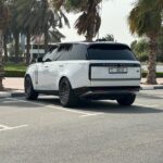 WhatsApp Image 2025-12-15 at 3.41.36 PM (1)