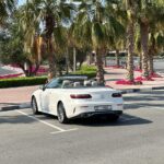 WhatsApp Image 2025-12-15 at 3.48.19 PM